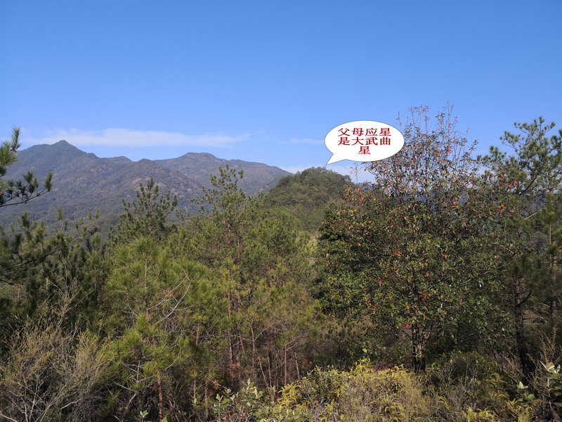 狮象守水口武曲星结穴的风水宝地