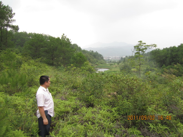 凤鸣龙吟福建龙岩风水行