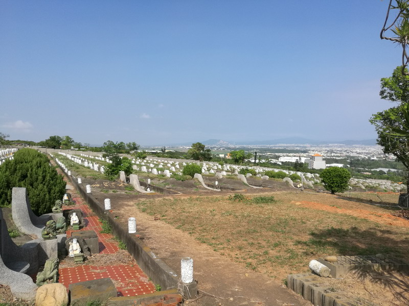 曾子南富贵福寿生基研究