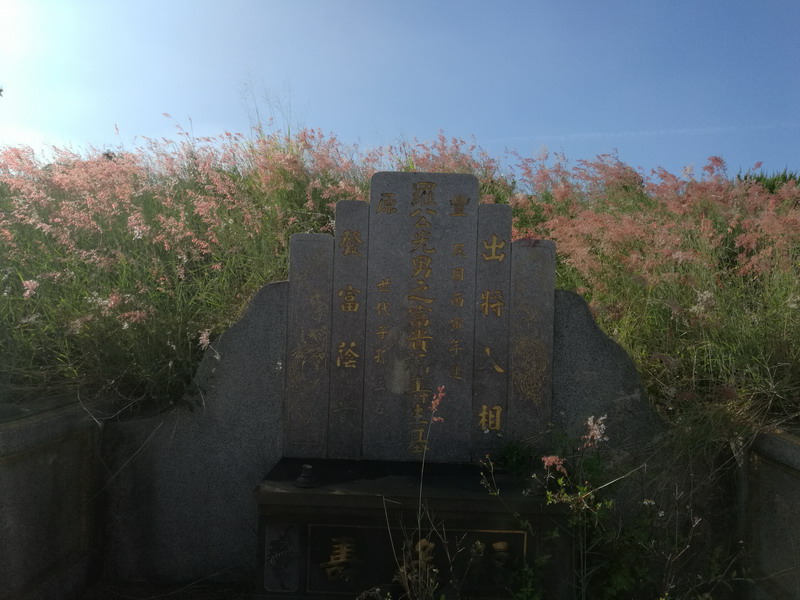 曾子南富贵福寿生基研究