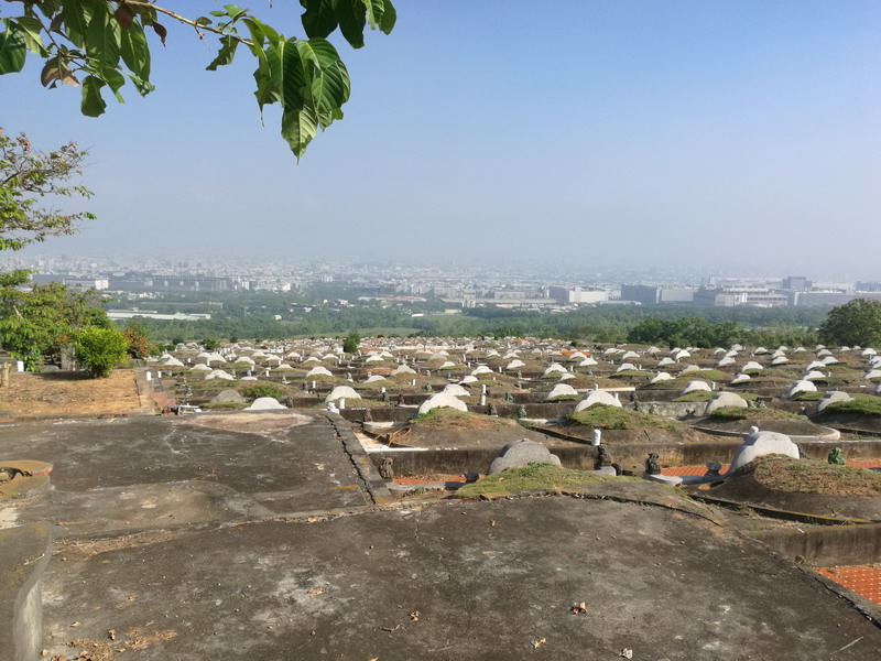 曾子南富贵福寿生基研究