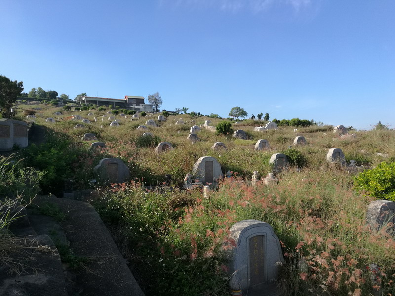 曾子南富贵福寿生基研究