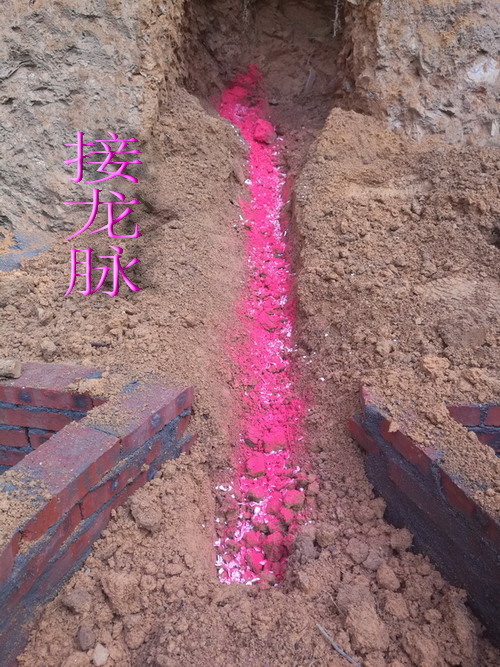 穴位处有两条天龙守穴,红头白身的蜈蚣,很少见的.